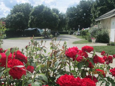 Cliquez pour découvrir toutes les photos de l'ÉTABLISSEMENT ! camping Les Rioms photo 13