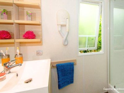Cliquez pour découvrir toutes les photos de l'HÉBERGEMENT ! mobil-home - Flower Les Paludiers photo 6