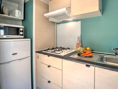 Cliquez pour découvrir toutes les photos de l'HÉBERGEMENT ! mobil-home - Flower Les Paludiers photo 4