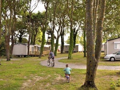camping Flower Les Paludiers photo 24