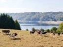 Cliquez pour découvrir toutes les photos de l'ÉTABLISSEMENT ! camping L'Air Du Temps photo 7