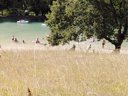 camping Le Moulin De Surier photo 5