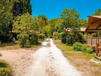 Cliquez pour découvrir toutes les photos de l'ÉTABLISSEMENT ! camping Flower Les Tomasses photo 20