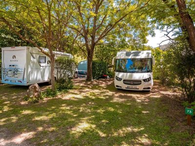 Cliquez pour découvrir toutes les photos de l'ÉTABLISSEMENT ! camping Flower Les Tomasses photo 22