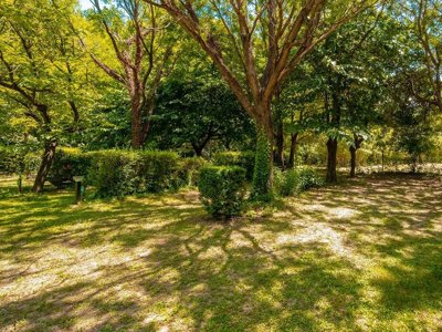 Cliquez pour découvrir toutes les photos de l'ÉTABLISSEMENT ! camping Flower Les Tomasses photo 23