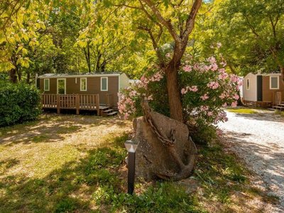 Cliquez pour découvrir toutes les photos de l'ÉTABLISSEMENT ! camping Flower Les Tomasses photo 26