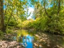 Cliquez pour découvrir toutes les photos de l'ÉTABLISSEMENT ! camping Flower Les Tomasses photo 8