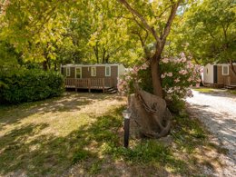 Camping Pas Cher vous présente avec son site Officiel campingpascher.fr, le Camping Flower Les Tomasses classé 4 étoiles, situé sur la commune de Belgentier dans le département Var (Provence Alpes Côte D'azur) en France. Le camping Flower Les Tomasses, vous présente un hébergement de type mobil-home de 24 m² et télévision. Le camping Flower Les Tomasses vous propose du sam. 28 mars au sam. 04 avril 2026 pour 7 nuits à 364€. Cette location propose 117 dates différentes pour réserver votre séjour. Découvrez également les 2 autres gammes d'hébergements du camping. Les Avis clients pour le Camping Flower Les Tomasses sont excellents avec une note moyenne de 8 sur 10. Piscine chauffée, Piscine extérieure, Animations familiales, Club enfants, Aire de jeux enfants, Ping-pong, Pétanque, Salle de fitness, Terrain multisports, Trampoline, Bar, Boulangerie, Brasserie, Dépôt de pain, Plats à emporter, Snack/Bar, Station-service, Supermarché,... En savoir plus : cliquez-ICI.