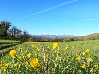 camping Le Roc Del Rey photo 17