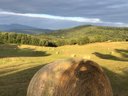 Cliquez pour découvrir toutes les photos de l'HÉBERGEMENT ! mobilhome - établissement Le Roc Del Rey photo 5