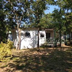 Camping Pas Cher vous présente avec son site Officiel campingpascher.fr, le Camping Le Roc Del Rey classé 2 étoiles, situé sur la commune de Belloc dans le département Ariège (Midi Pyrénées) en France. Le camping Le Roc Del Rey vous propose un hébergement de type chalet pour 4 personnes (télévision). L'établissement vous propose 7 autres types d'hébergements. Découvrez tous nos séjours à petits prix dans la commune et aux alentours de Belloc du département : Ariège (Midi Pyrénées). Les Avis clients pour le Camping Le Roc Del Rey sont excellents avec une note moyenne de 9 sur 10. Piscine extérieure, Baby-foot, Canoë-kayak, Centre équestre, Cyclisme, Ping-pong, Randonnée,... En savoir plus : cliquez-ICI.