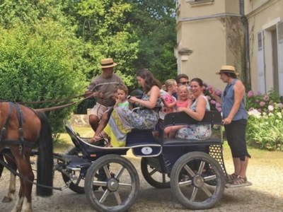 Cliquez pour découvrir toutes les photos de l'ÉTABLISSEMENT ! camping Des 3 Lacs photo 25