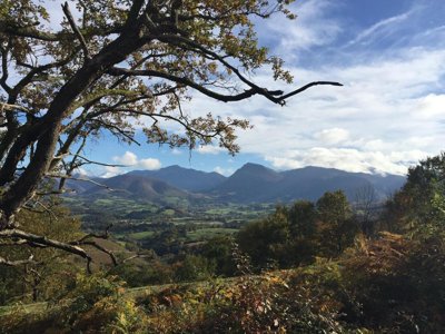 Cliquez pour découvrir toutes les photos de l'ÉTABLISSEMENT ! camping Baretous Pyrénées photo 22