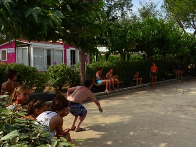 Cliquez pour découvrir toutes les photos de l'ÉTABLISSEMENT ! établissement De Sainte Véziane photo 29
