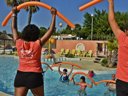 Cliquez pour découvrir toutes les photos de l'ÉTABLISSEMENT ! établissement De Sainte Véziane photo 8