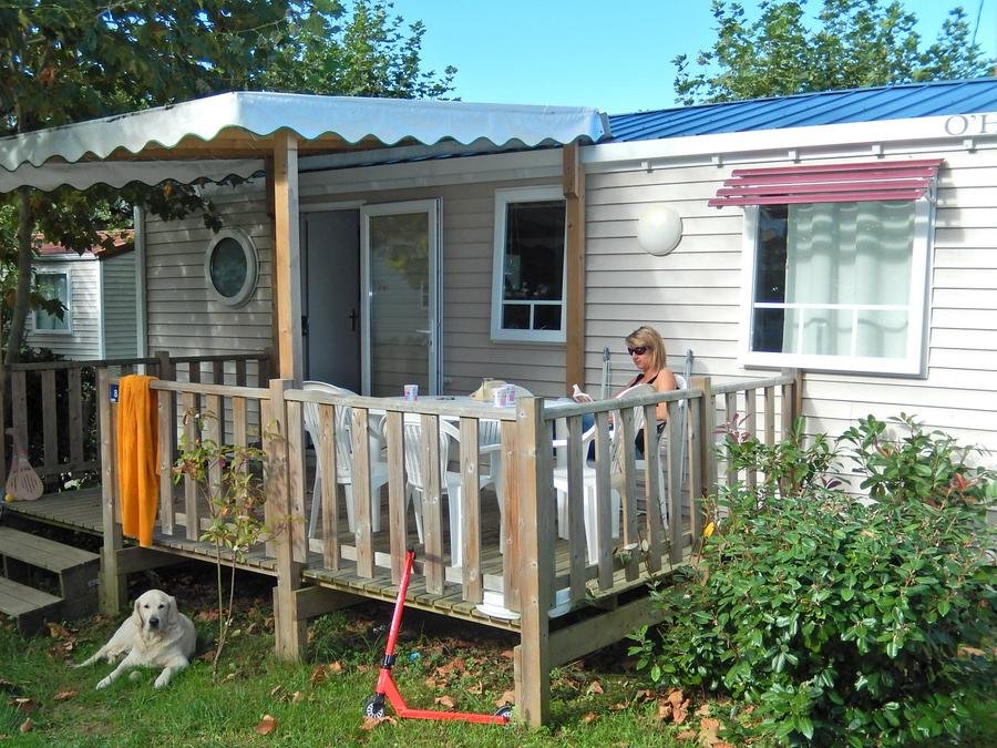 Camping Pas Cher vous présente avec son site Officiel campingpascher.fr, le Camping Harrobia classé 3 étoiles, situé sur la commune de Bidart dans le département Pyrénées-atlantiques (Aquitaine) en France. Le camping Harrobia, vous présente un hébergement de type mobil-home de 29 m² et télévision. Le camping Harrobia vous propose du sam. 19 septembre au sam. 26 septembre 2026 pour 7 nuits à 448€. Cette location propose 24 dates différentes pour réserver votre séjour. Découvrez également les 6 autres gammes d'hébergements du camping. Les Avis clients pour le Camping Harrobia sont excellents avec une note moyenne de 8 sur 10. Mer, Piscine chauffée, Piscine couverte, Animations familiales, Club enfants, Aire de jeux enfants, Canoë-kayak, Court de tennis, Golf, Paddle, Ping-pong, Pétanque, Randonnée, Salle de jeux vidéo, Surf, Terrain de football, Terrain multisports, Boulangerie, Bureau de tabac, Dépôt de pain, Plats à emporter, Supermarché, Épicerie,... En savoir plus : cliquez-ICI.