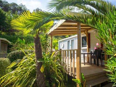 Cliquez pour découvrir toutes les photos de l'ÉTABLISSEMENT ! camping Erreka photo 21