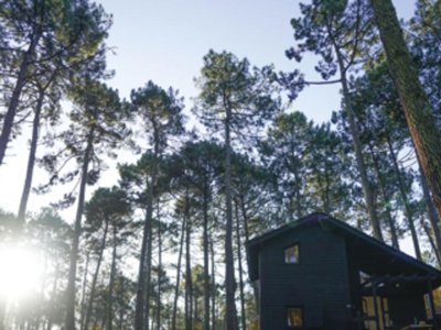 Cliquez pour découvrir toutes les photos de l'ÉTABLISSEMENT ! camping Slow Village Biscarrosse Lac photo 17