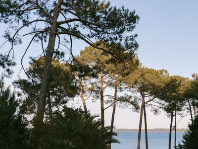 Cliquez pour découvrir toutes les photos de l'ÉTABLISSEMENT ! camping Slow Village Biscarrosse Lac photo 2
