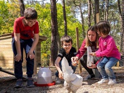 Cliquez pour découvrir toutes les photos de l'ÉTABLISSEMENT ! camping Slow Village Biscarrosse Lac photo 28