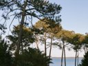 Cliquez pour découvrir toutes les photos de l'ÉTABLISSEMENT ! camping Slow Village Biscarrosse Lac photo 2