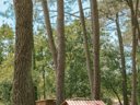 Cliquez pour découvrir toutes les photos de l'ÉTABLISSEMENT ! camping Slow Village Biscarrosse Lac photo 8