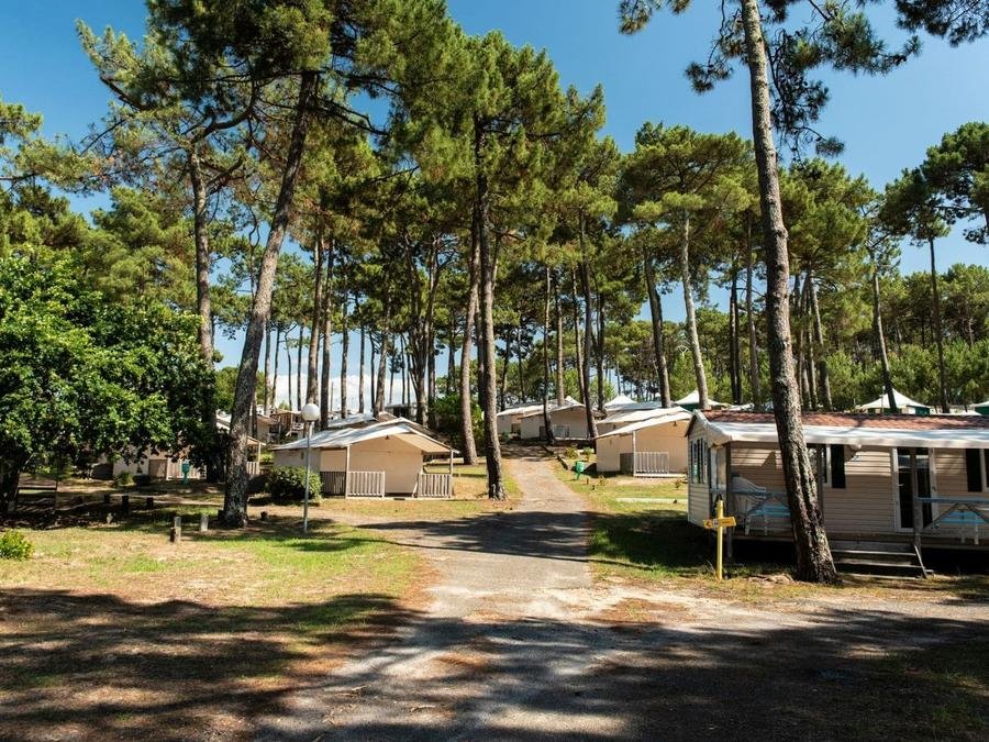 Camping Pas Cher vous présente avec son site Officiel campingpascher.fr, le Camping Club Plage Sud 4*- MS VACANCES classé 4 étoiles, situé sur la commune de Biscarrosse dans le département Landes (Aquitaine) en France. Le camping Club Plage Sud 4*- MS VACANCES, vous présente un hébergement de type mobil-home de 31 m² pour 6 personnes avec climatisation et télévision. Le camping Club Plage Sud 4*- MS VACANCES vous proposeun séjour PAS CHER avec une REMISEdu sam. 27 juin au sam. 04 juillet 2026, en promotion à -66% pour 7 nuits à 380 € au lieu de 1120,0 € soit une Économie de 740 €. Cette location propose 3 dates différentes pour réserver votre séjour. Découvrez également les 27 autres gammes d'hébergements du camping. Les Avis clients pour le Camping Club Plage Sud 4*- MS VACANCES sont excellents avec une note moyenne de 8 sur 10. Piscine chauffée, Piscine extérieure, Animations familiales, Club ados, Club enfants, Aire de jeux enfants, Baby-foot, Court de padel en extérieur, Golf, Parcours sportif, Ping-pong, Piscine, Pétanque, Salle de fitness, Structure gonflable enfants, Terrain multisports, Tir à l’arc, Trampoline, Bar, Dépôt de pain, Snack/Bar,... En savoir plus : cliquez-ICI.