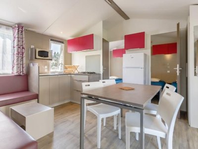 Cliquez pour découvrir toutes les photos de l'HÉBERGEMENT ! mobil-home - Le Bois Joli photo 3