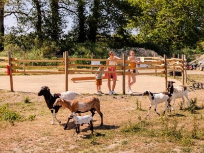 camping Maeva Escapades Le Bois Joli photo 14