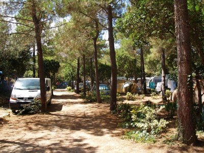 Cliquez pour découvrir toutes les photos de l'ÉTABLISSEMENT ! camping Campo Di Liccia photo 17