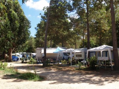 Cliquez pour découvrir toutes les photos de l'ÉTABLISSEMENT ! camping Campo Di Liccia photo 18