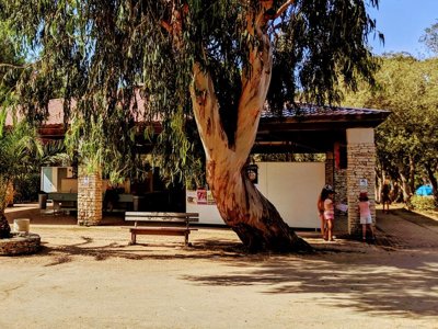 Cliquez pour découvrir toutes les photos de l'ÉTABLISSEMENT ! camping Campo Di Liccia photo 19