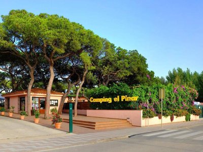 Cliquez pour découvrir toutes les photos de l'ÉTABLISSEMENT ! camping Alannia El Pinar photo 10