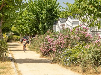 Cliquez pour découvrir toutes les photos de l'ÉTABLISSEMENT ! camping Alannia El Pinar photo 8