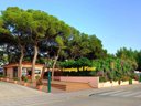 Cliquez pour découvrir toutes les photos de l'ÉTABLISSEMENT ! camping Alannia El Pinar photo 10