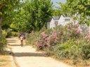 Cliquez pour découvrir toutes les photos de l'ÉTABLISSEMENT ! camping Alannia El Pinar photo 8