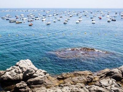 Cliquez pour découvrir toutes les photos de l'ÉTABLISSEMENT ! camping Cavall De Mar photo 17