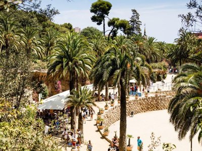 Cliquez pour découvrir toutes les photos de l'ÉTABLISSEMENT ! camping Cavall De Mar photo 18