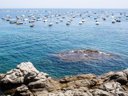Cliquez pour découvrir toutes les photos de l'ÉTABLISSEMENT ! camping Cavall De Mar photo 2