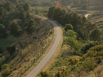 camping Terra Alta photo 24