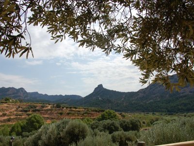 camping Terra Alta photo 25