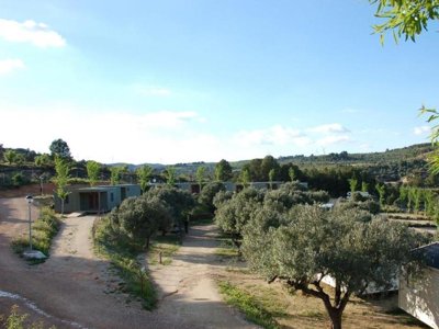 camping Terra Alta photo 3