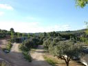 camping Terra Alta photo 3