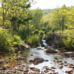 Camping Pas Cher vous présente avec son site Officiel campingpascher.fr, le Établissement De La Vallée Du Doux, situé sur la commune de Boucieu Le Roi dans le département Ardeche (Rhône Alpes) en France. L'établissement De La Vallée Du Doux vous propose un hébergement de type bungalow toilé de 16 m². L'établissement vous propose 8 autres types d'hébergements. Découvrez tous nos séjours à petits prix dans la commune et aux alentours de Boucieu Le Roi du département : Ardeche (Rhône Alpes).... En savoir plus : cliquez-ICI.