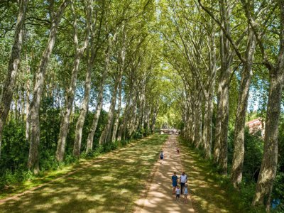 Cliquez pour découvrir toutes les photos de l'ÉTABLISSEMENT ! camping De Bourges photo 21