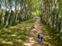 Cliquez pour découvrir toutes les photos de l'ÉTABLISSEMENT ! camping De Bourges photo 2