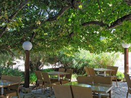 Camping Pas Cher vous présente avec son site Officiel campingpascher.fr, le Camping Cavallo Morto classé 3 étoiles, situé sur la commune de Bonifacio dans le département Corse Du Sud (Corse) en France. Le camping Cavallo Morto vous propose un hébergement de type chalet de 28 m² pour 5 personnes avec climatisation. L'établissement vous propose 8 autres types d'hébergements. Découvrez tous nos séjours à petits prix dans la commune et aux alentours de Bonifacio du département : Corse Du Sud (Corse). Les Avis clients pour le Camping Cavallo Morto sont excellents avec une note moyenne de 8 sur 10. Piscine extérieure, Centre équestre, Randonnée, Bar, Dépôt de pain, Plats à emporter, Restaurant, Snack/Bar,... En savoir plus : cliquez-ICI.