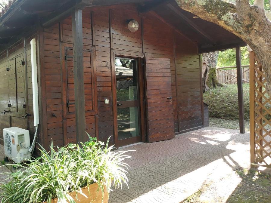 Camping Pas Cher vous présente avec son site Officiel campingpascher.fr, le Camping Azzurro Village classé 4 étoiles, situé sur la commune de Bracciano dans le département Rome (Latium) en Italie. Le camping Azzurro Village, vous présente un hébergement de type chalet de 33 m² pour 1 personne avec climatisation. Le camping Azzurro Village vous propose du lundi 14 septembre au lundi 21 septembre 2026 pour 7 nuits à 845€. Cette location propose 41 dates différentes pour réserver votre séjour. Découvrez également les 6 autres gammes d'hébergements du camping. Aire de jeux enfants, Pétanque, Terrain de football, Pizzeria, Plats à emporter, Épicerie,... En savoir plus : cliquez-ICI.