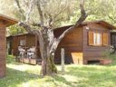 Cliquez pour découvrir toutes les photos de l'HÉBERGEMENT ! mobil-home - camping Azzurro Village photo 4