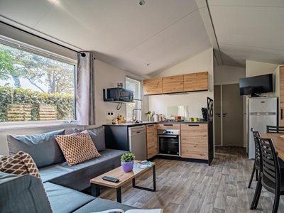 Cliquez pour découvrir toutes les photos de l'HÉBERGEMENT ! mobil-home - L'Océan photo 6